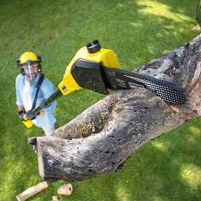 Best Aeration Services  in Fort Lee, NJ